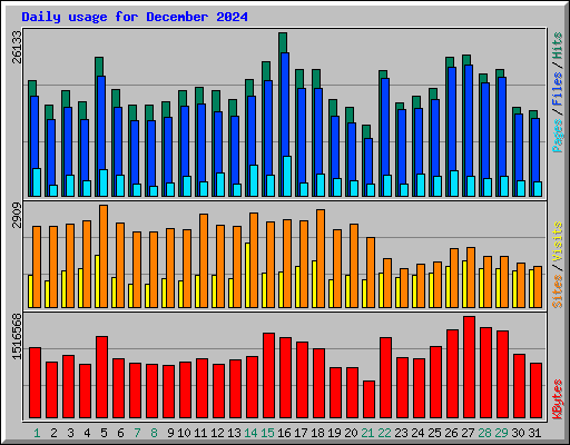 Daily usage for December 2024