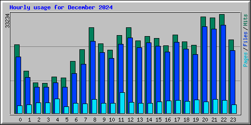 Hourly usage for December 2024